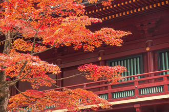 年末年始の国内旅行、どこが“穴場”でいつが“狙い目”? 人気の旅行先ランキングと混雑予測