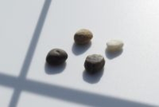 窓辺の小石 第245回 ハイゼンベルクの曖昧性原理