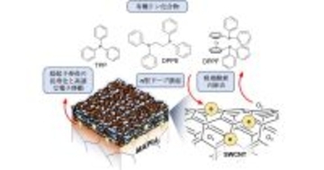 名大など、n型単層CNT電極でペロブスカイト太陽電池の耐久性向上を実現