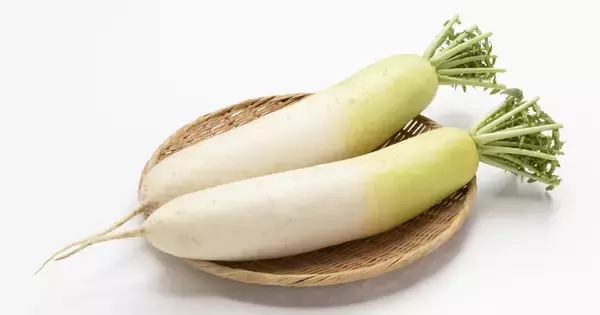 大根は「食べるタイミング」が重要? 抗がん成分を逃さない食べ方