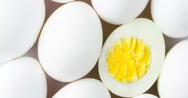 "この2つ"を足すだけ…医師が勧める「卵の最強の食べ方」