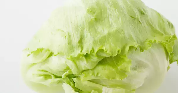 ENEOS、人工光型植物工場を運営するJリーフの全株式をハークスレイに譲渡