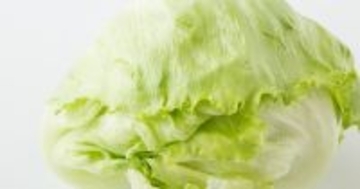 ENEOS、人工光型植物工場を運営するJリーフの全株式をハークスレイに譲渡