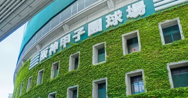 甲子園出場で「選手タオル200枚に20万円」――毎年夏に生まれる“応援特需”の正体