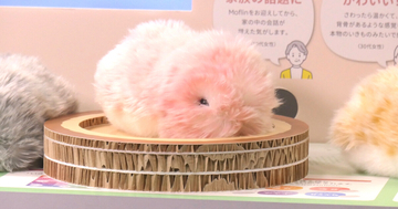 カシオ「Moflin」に癒やしカラー「さくら色」が登場　AIペットは“人”をつなぐ存在へ