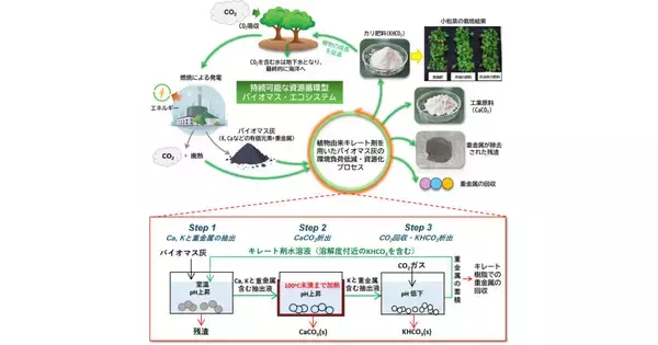 東北大など、重金属含有バイオマス灰とCO2から資源を生み出す技術を開発