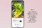 「Google、会話でAI検索「検索 Live」を日本で提供開始　ヘッドホンで「ライブ翻訳」も」の画像1
