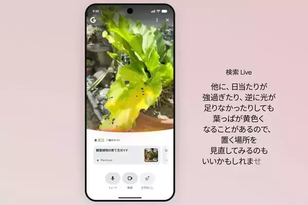 「Google、会話でAI検索「検索 Live」を日本で提供開始　ヘッドホンで「ライブ翻訳」も」の画像