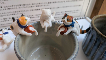 大人だって遊びたい 最新「キダルト」おもちゃ 第11回 500個のつもりが5万個以上に…「ガチャガチャは手のひらに収まる狂気」開発の裏側を展示したイベント、清澄白河で開催