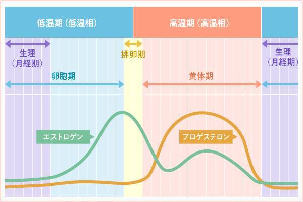 生理前 生理中にむくみが出る原因 年10月28日 エキサイトニュース