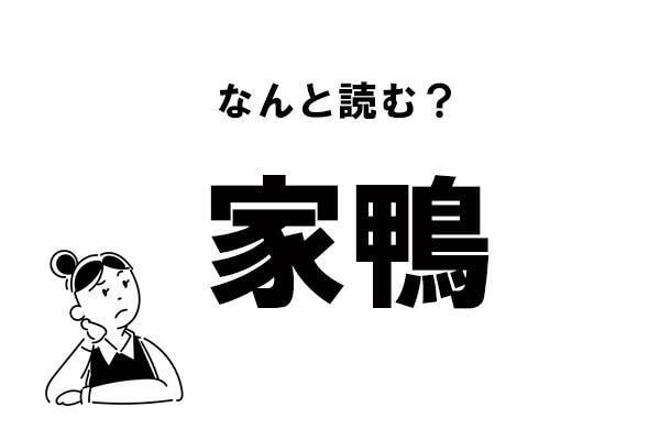 難読 やかも 家鴨 の正しい読み方 21年4月10日 エキサイトニュース