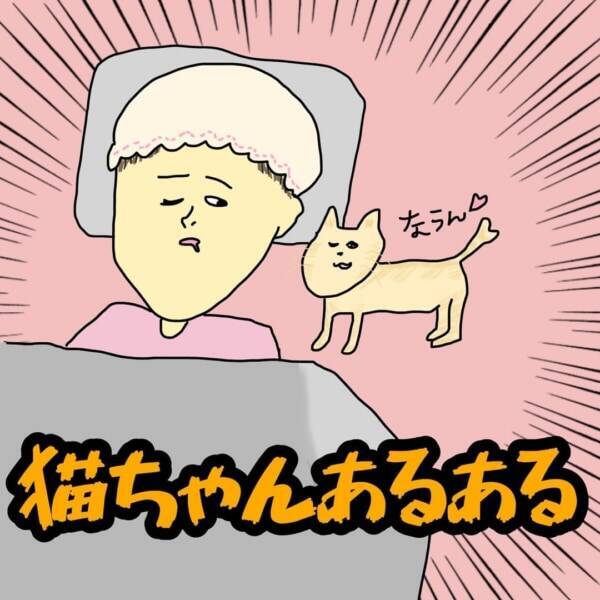 愛おしさ100 猫あるある 6つ 21年5月31日 エキサイトニュース