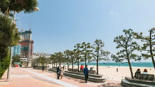 年末年始の海外旅行、穴場1位は“意外な都市”。混雑日はいつ? お得に行ける日程は?