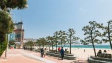 年末年始の海外旅行、穴場1位は“意外な都市”。混雑日はいつ? お得に行ける日程は?