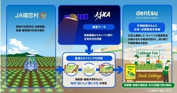 電通など、衛星データでキャベツ販促を需給連動