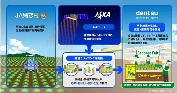 電通など、衛星データでキャベツ販促を需給連動