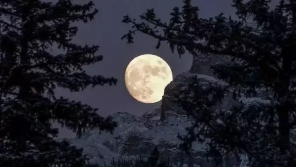 「【今日は満月】コールドムーンが持つスピリチュアルメッセージ」の画像