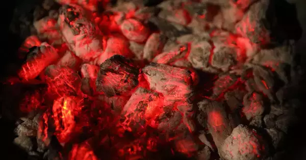 新日本繊維、石炭灰由来繊維の製造過程でレアアース回収に成功