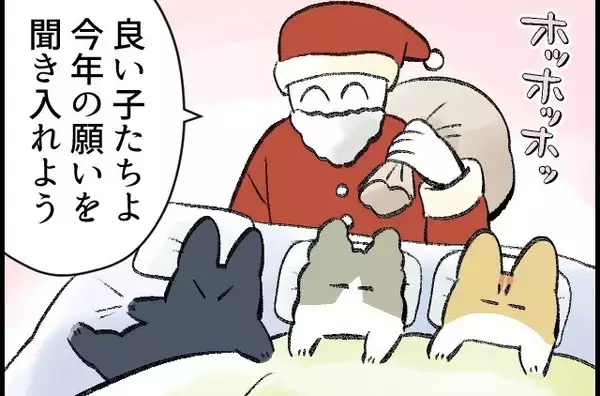 この家の主は僕 第87回 【漫画】「あいつが…」猫3匹、今年の願いは?