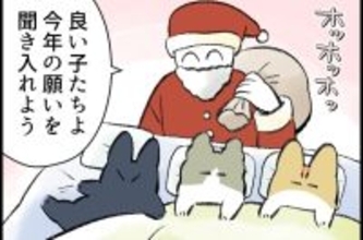 この家の主は僕 第87回 【漫画】「あいつが…」猫3匹、今年の願いは?