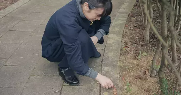 “虫好き”門脇麦、セミの抜け殻を並べる貴重な姿　池端杏慈もティーンらしく和気藹々