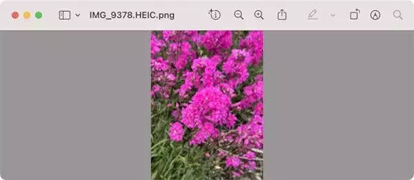 なんとなくコマンド 第117回 qlmanageコマンド(macOS)