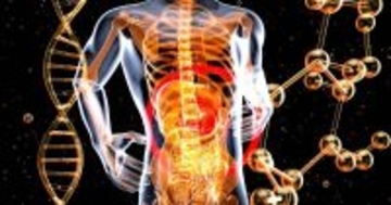 老化を早める腸内の異変とは？ 動脈硬化や認知機能低下とも関わる「ディスバイオシス」