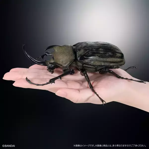 「シリーズ最大、エレファスゾウカブトが登場!「いきもの大図鑑アドバンス カブトムシ04」ガシャポンオンライン限定で発売」の画像