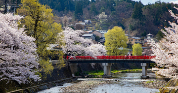 Booking.comが選ぶ2026年「世界で最も居心地の良い都市10選」、日本で唯一ランクインした都市は?