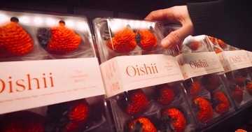 「日本の農業はチャンスしかない」NYで“1パック5500円のイチゴ”を売った起業家の逆転発想