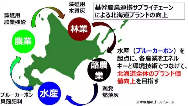 北海道電力がブルーカーボンを起点に産業連携サプライチェーン構築