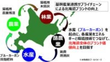 北海道電力がブルーカーボンを起点に産業連携サプライチェーン構築