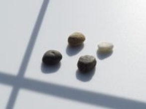 窓辺の小石 第244回 TransistorなBody