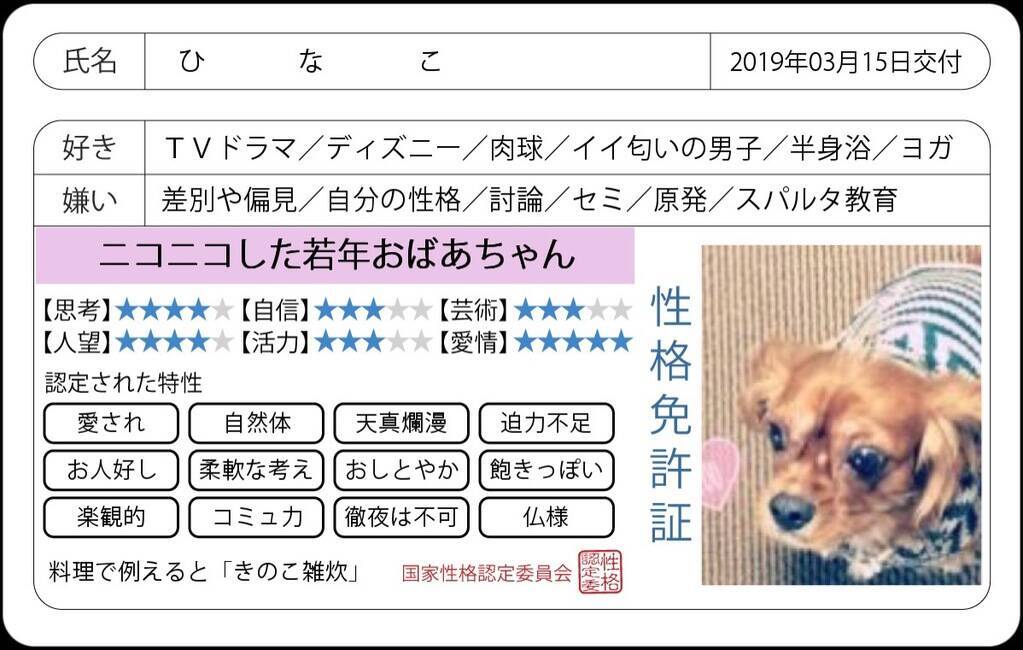 Twitterやインスタで流行中の 性格免許証 がかなり当たると話題に 19年3月15日 エキサイトニュース 3 3