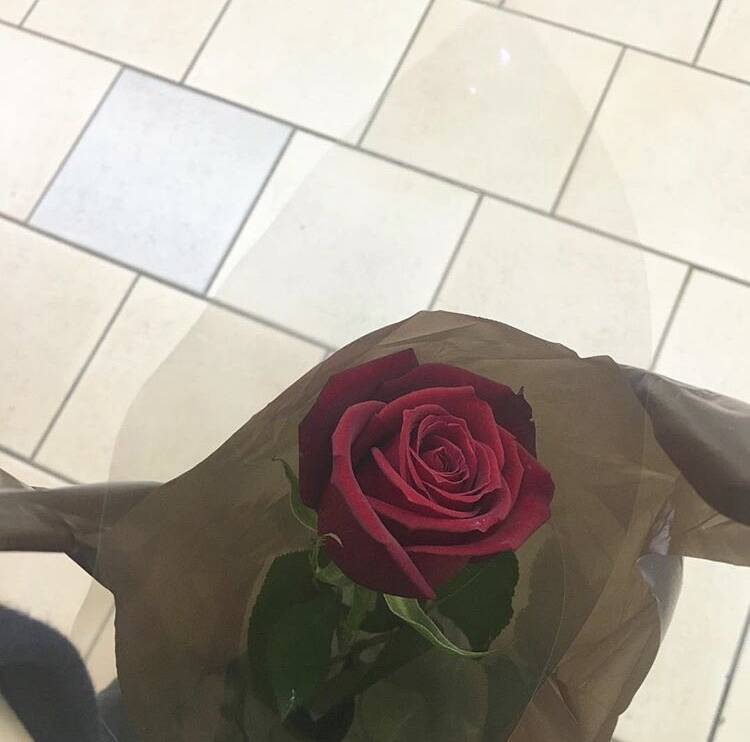 お花を可愛く写真に収める撮り方を伝授 意外なテクニックでさらにお洒落な一枚に 年6月13日 エキサイトニュース