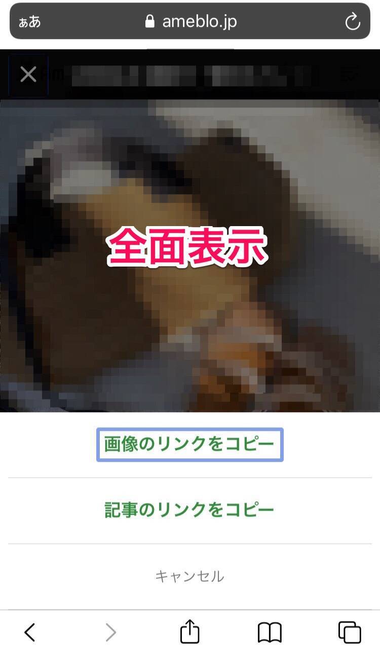 Iphone Safariからwebサイトの画像を保存する方法 21年5月12日 エキサイトニュース 7 7