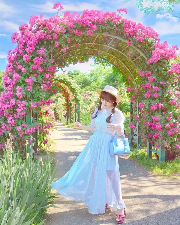 「今が見どころ！バラ園で映え写真を撮影してみよう♡関東で人気のバラ園を紹介！」の画像