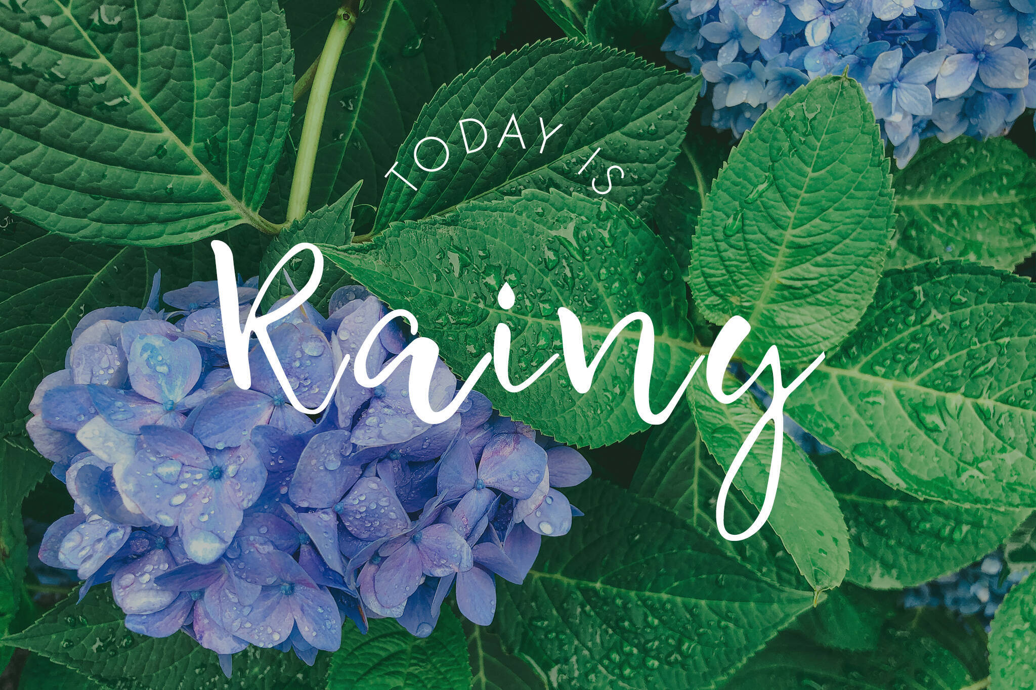 梅雨に使いたくなるgifまとめ 定番から可愛いイラストまで紹介します 21年5月28日 エキサイトニュース