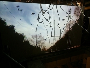 新宿中のカラスを拡声器で呼ぶ!? 歌舞伎町のカオスなパフォーマンスイベントに行ってきた