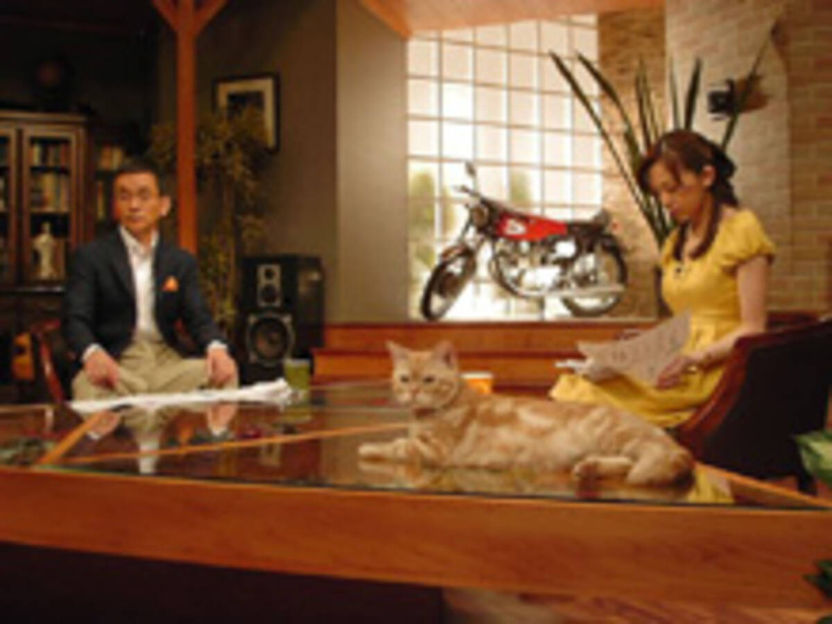 ニュース番組になぜか猫が出演 週刊ニュース新書 エキサイトニュース
