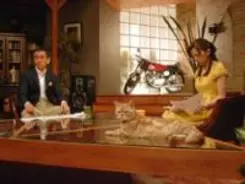 ニュース番組になぜか猫が出演「週刊ニュース新書」