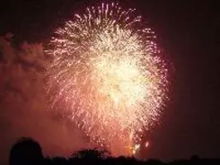 花火「スターマイン」は、もともと「菊畑」だった