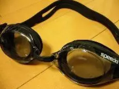 なぜクロールは「自由形」から独立できないの？