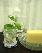 摘んでも切っても生い茂る、たくましいミントの活用法