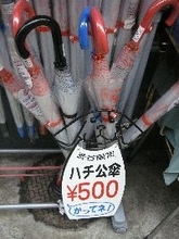 渋谷の新名物？　「ハチ公傘」を知ってますか