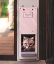 ニャンとも便利なペット専用自動ドア