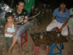 クリスピーな食感の揚げコオロギ