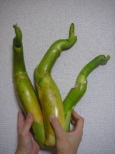 「まこもだけ」を知っていますか