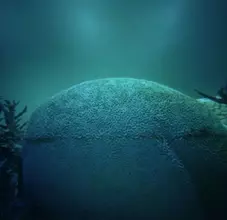 針穴から撮るレトロ写真がブームの兆し？