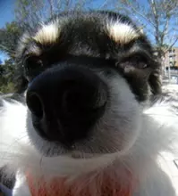 コンデジで「画角180度」の超広角写真を撮ってみた